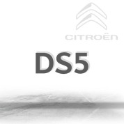 DS5